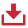 Download Icon